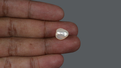 Venezuela Pearl 8.22 Carats / 9.13 Ratti