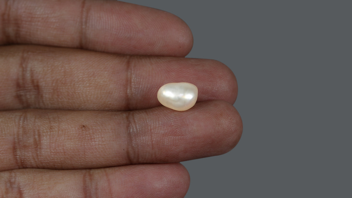 Venezuela Pearl 5.57 Carats / 6.19 Ratti