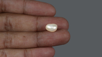 Venezuela Pearl 5.57 Carats / 6.19 Ratti
