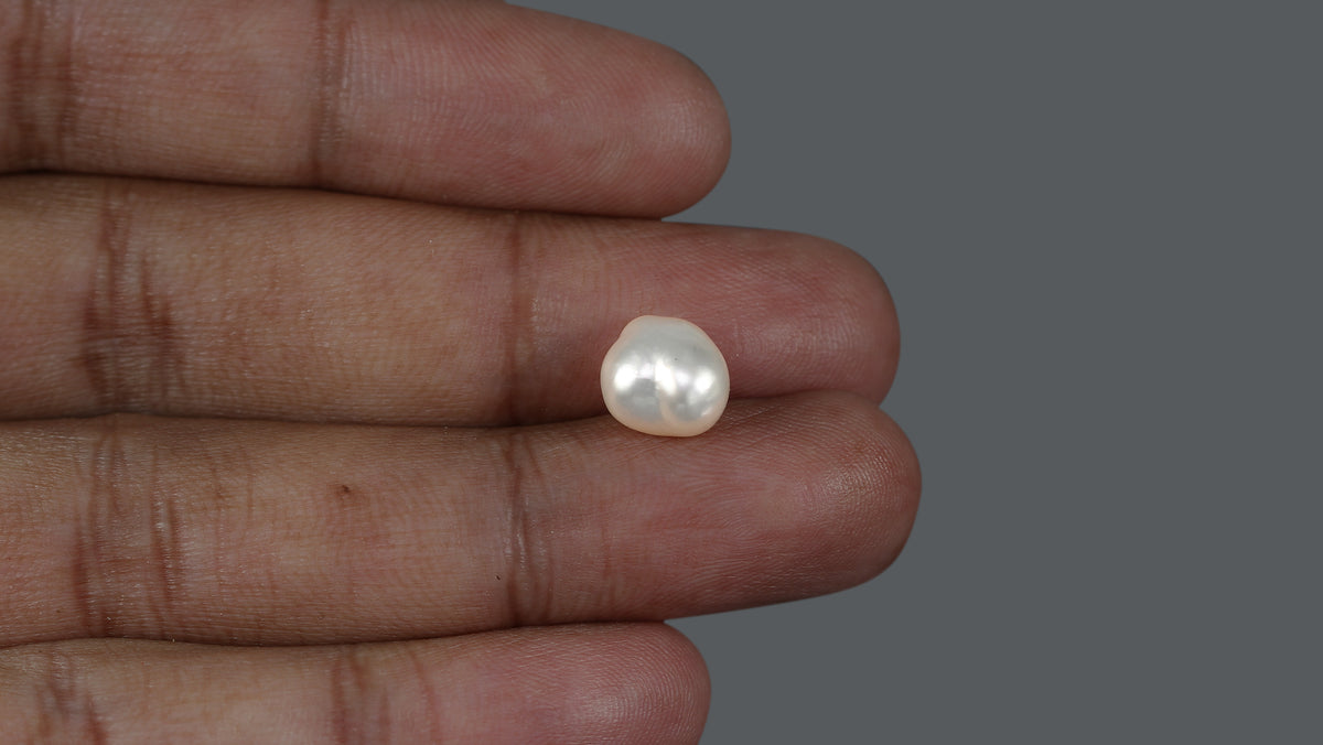 Venezuela Pearl 5.73 Carats / 6.37 Ratti