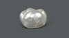 Venezuela Pearl 5.40 Carats / 06 Ratti