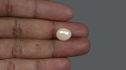 Venezuela Pearl 10.44 Carats / 11.06 Ratti