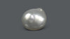 Venezuela Pearl 6.02 Carats / 6.69 Ratti