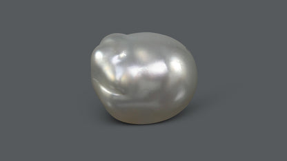 Venezuela Pearl 6.02 Carats / 6.69 Ratti