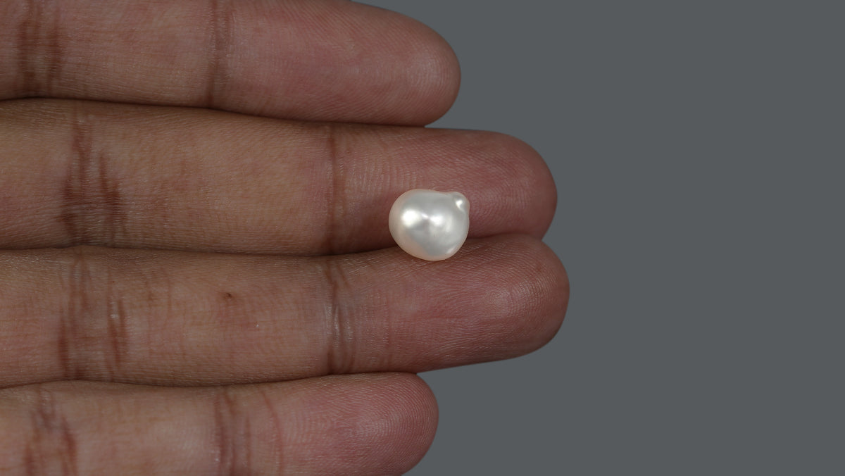Venezuela Pearl 6.02 Carats / 6.69 Ratti