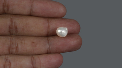 Venezuela Pearl 6.02 Carats / 6.69 Ratti