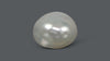 Venezuela Pearl 5.86 Carats / 6.51 Ratti