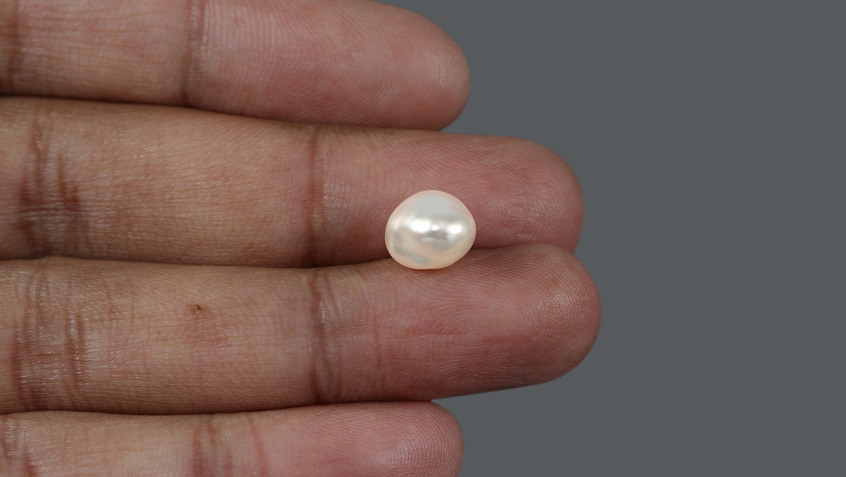 Venezuela Pearl 5.86 Carats / 6.51 Ratti