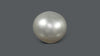 Venezuela Pearl 10.2 Carats / 11.34 Ratti