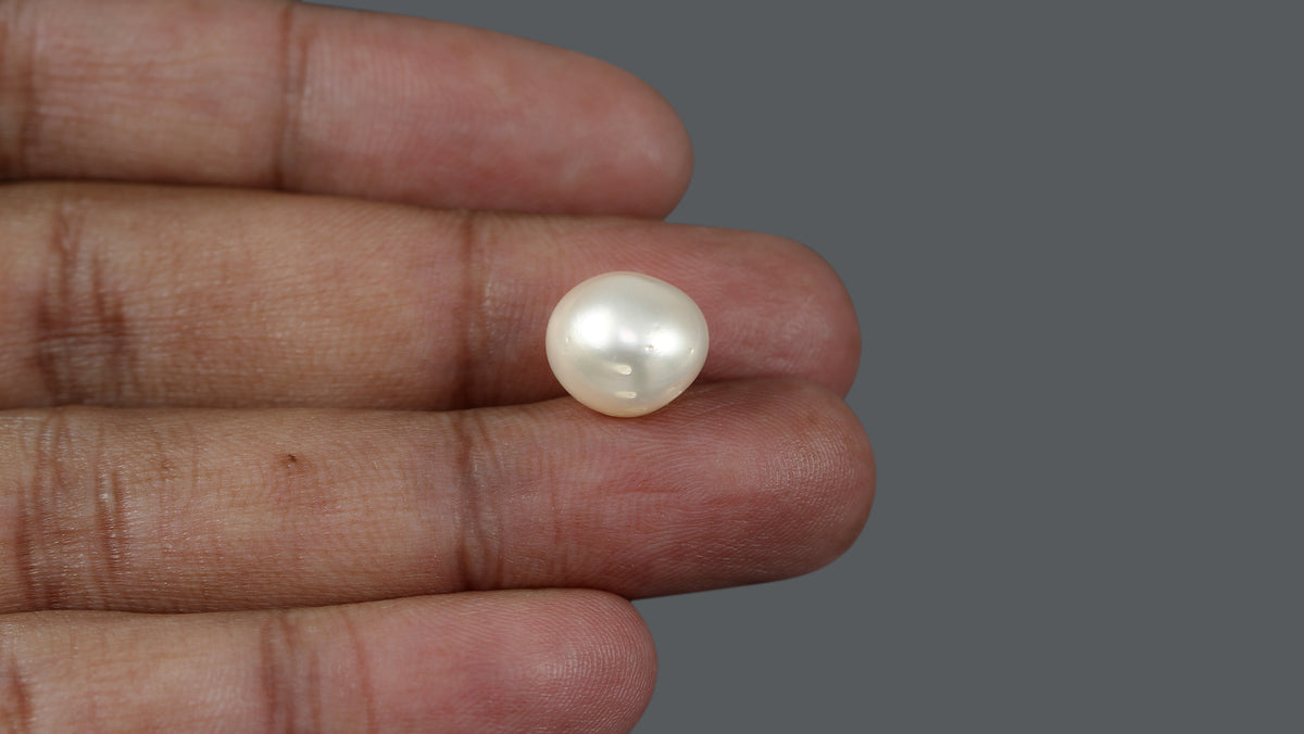 Venezuela Pearl 10.2 Carats / 11.34 Ratti