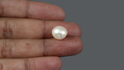 Venezuela Pearl 10.2 Carats / 11.34 Ratti
