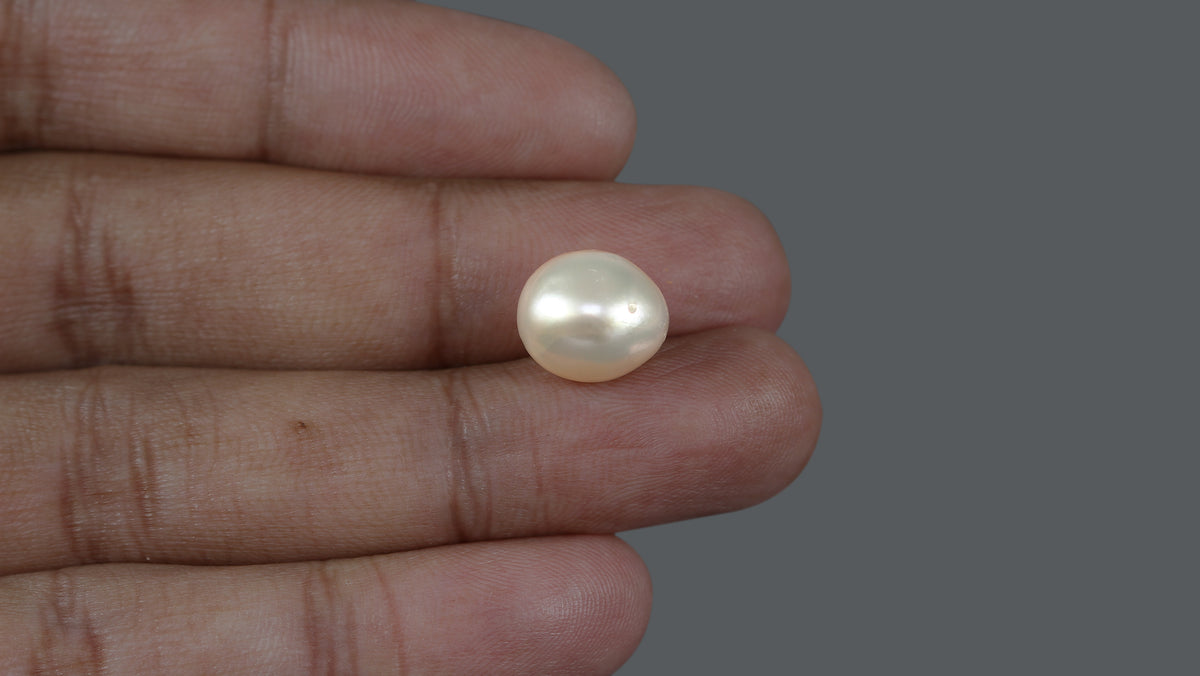 Venezuela Pearl 11.09 Carats / 12.32 Ratti