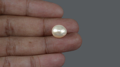 Venezuela Pearl 11.09 Carats / 12.32 Ratti