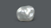 Venezuela Pearl 5.45 Carats / 6.05 Ratti