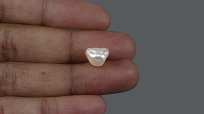 Venezuela Pearl 5.84 Carats / 6.49 Ratti