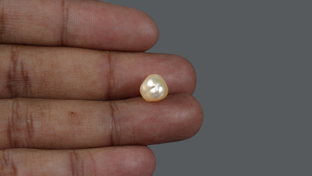 Venezuela Pearl 5.65 Carats /6.28 Ratti
