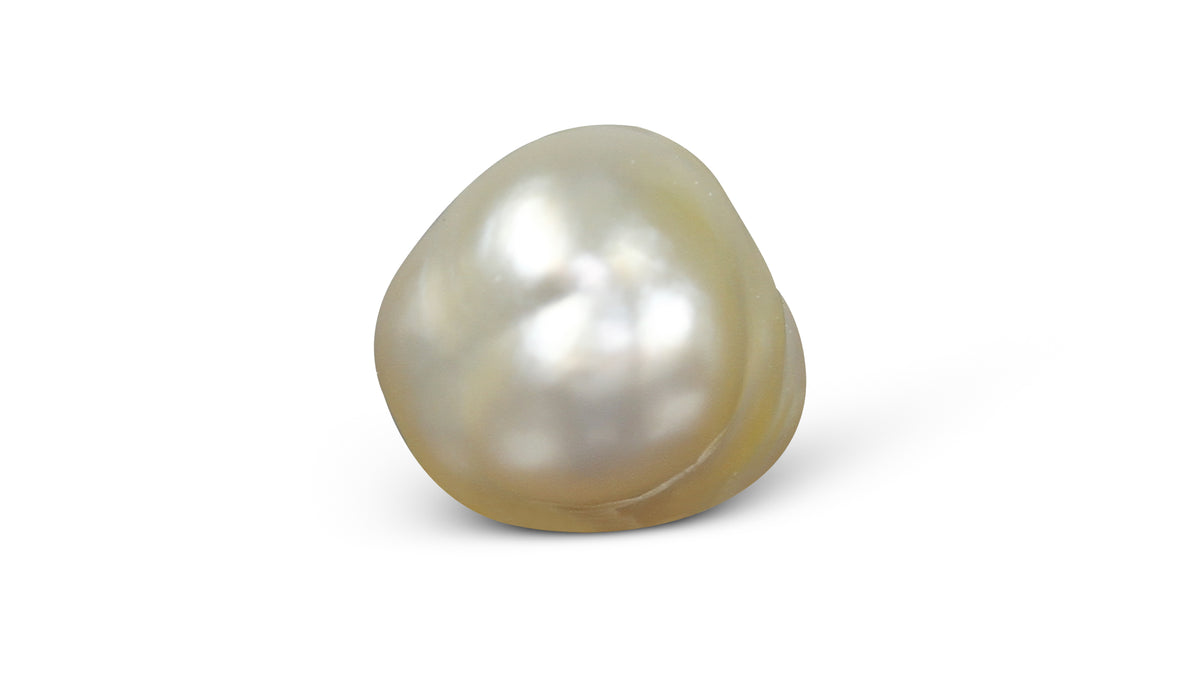 Venezuela Pearl 5.65 Carats /6.28 Ratti