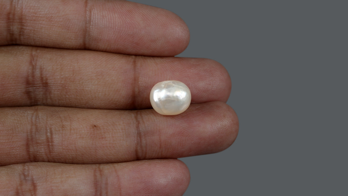 Venezuela Pearl 9.14 Carats / 10.15 Ratti