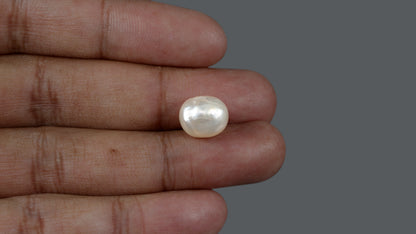 Venezuela Pearl 9.14 Carats / 10.15 Ratti