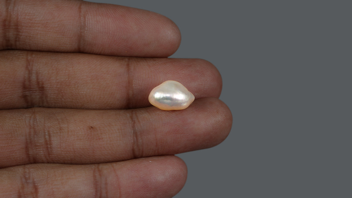 Venezuela Pearl 8.15 Carats / 9.05 Ratti