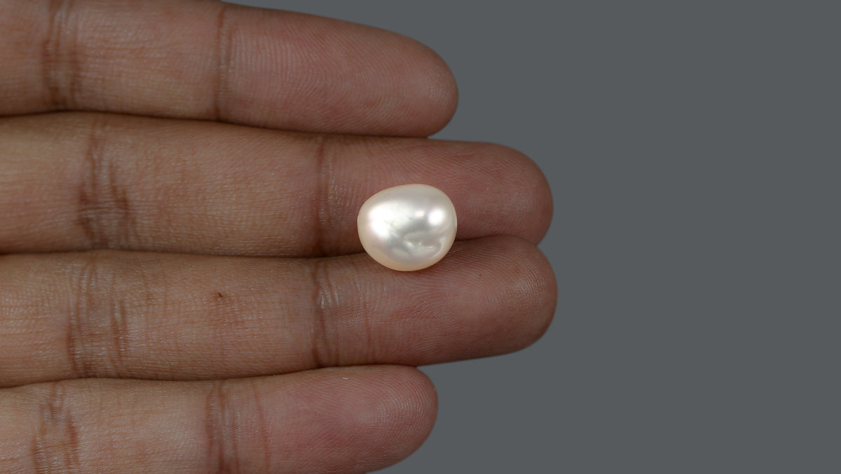 Venezuela Pearl 11.88 Carats / 13.02 Ratti