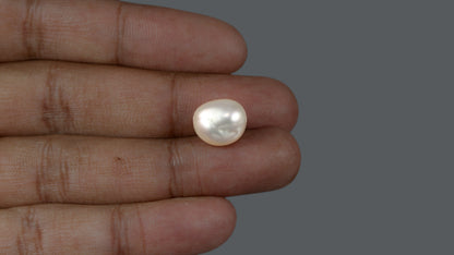 Venezuela Pearl 11.88 Carats / 13.02 Ratti