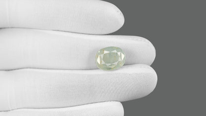 Natural Pitambari 13.04 Carats / 14.33 Ratti