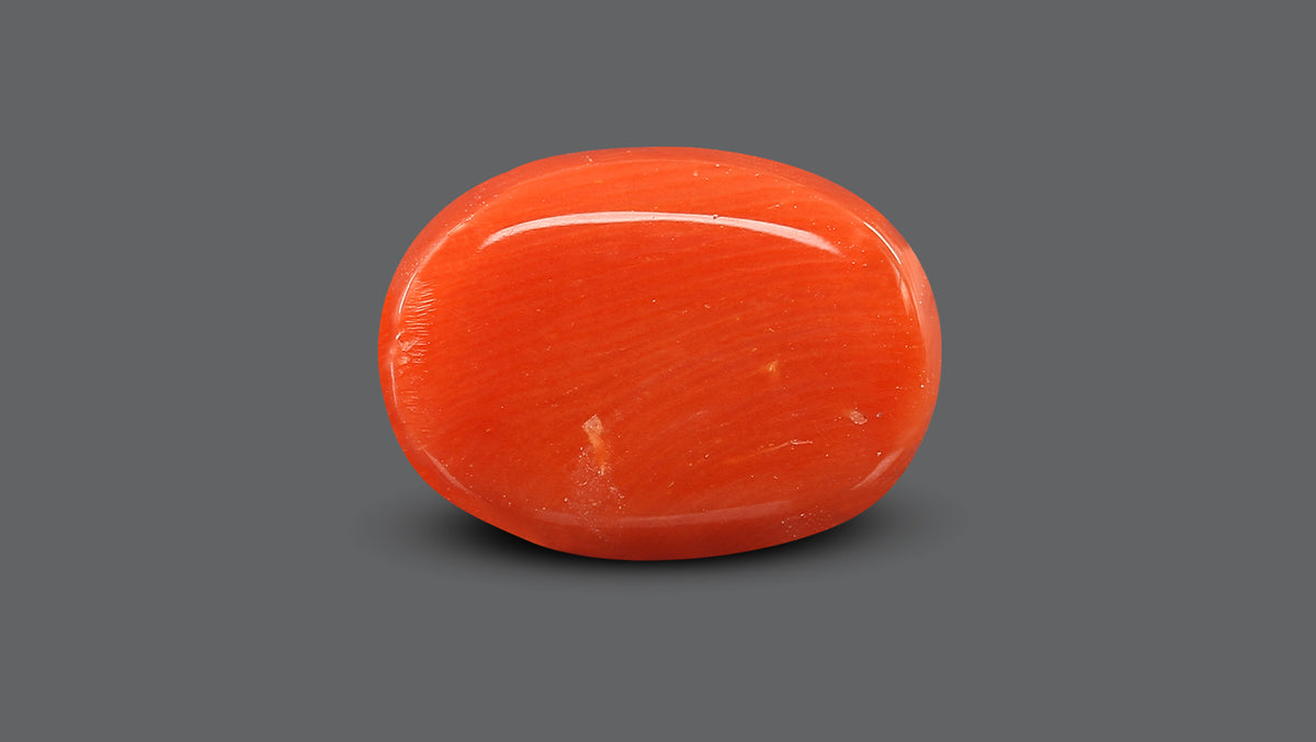 Italian Red Coral 10.78 Carats / 11.85 Ratti