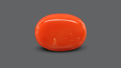 Italian Red Coral 10.78 Carats / 11.85 Ratti