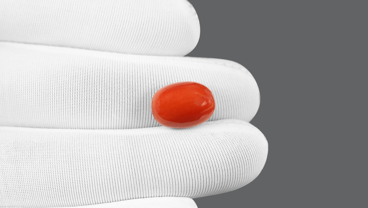Italian Red Coral 10.78 Carats / 11.85 Ratti
