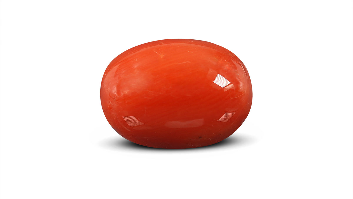 Italian Red Coral 10.78 Carats / 11.85 Ratti