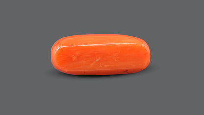 Italian Red Coral 9.64 Carats / 10.59 Ratti