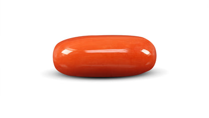 Italian Red Coral 9.64 Carats / 10.59 Ratti