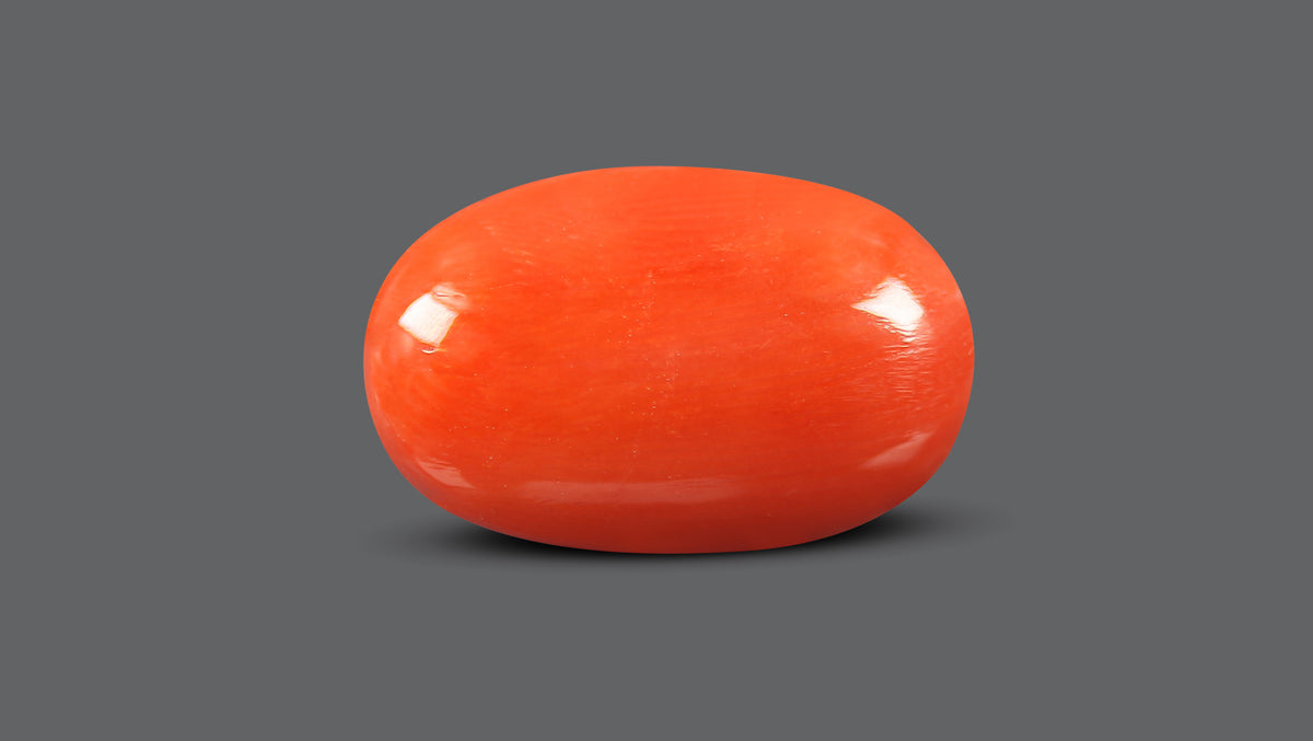 Italian Red Coral 12.56 Carats / 13.8 Ratti