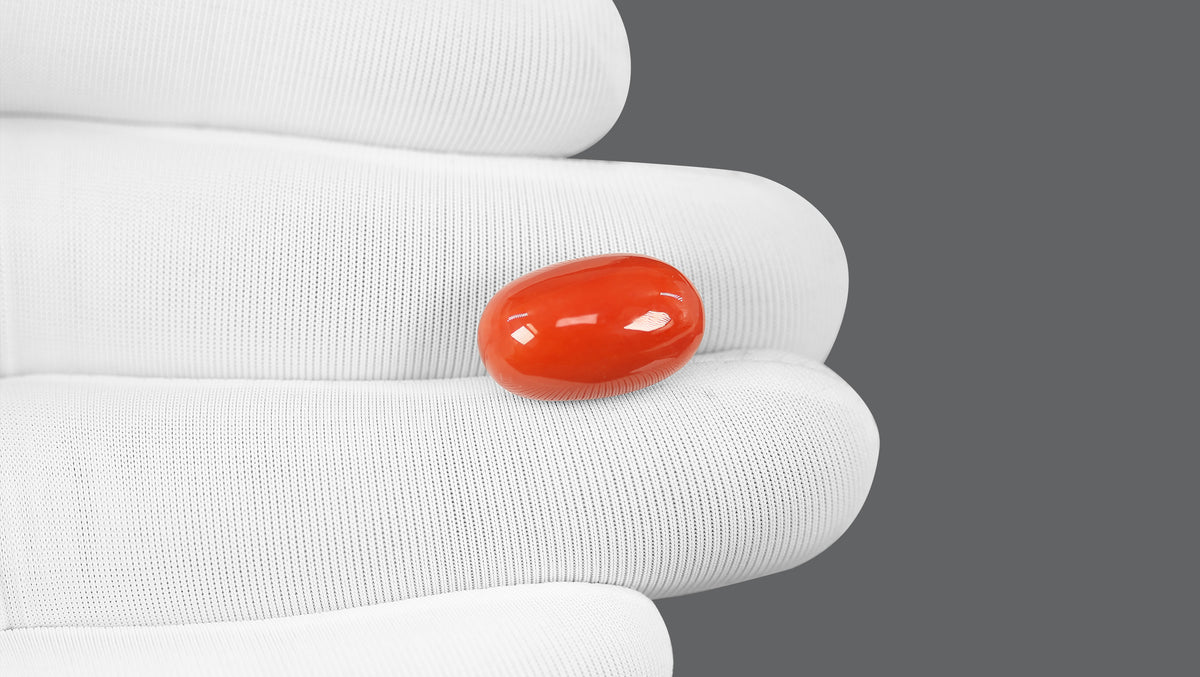 Italian Red Coral 12.56 Carats / 13.8 Ratti
