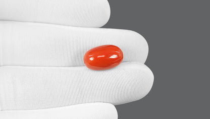 Italian Red Coral 12.56 Carats / 13.8 Ratti