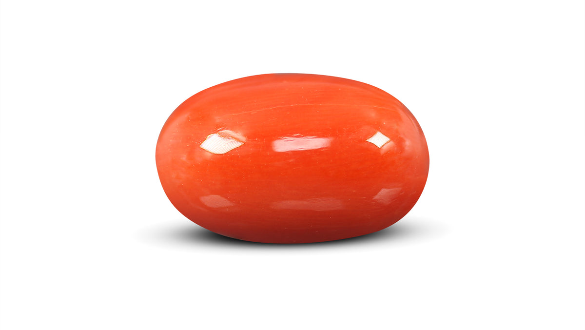 Italian Red Coral 12.56 Carats / 13.8 Ratti