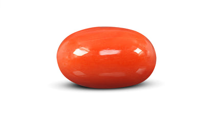 Italian Red Coral 12.56 Carats / 13.8 Ratti
