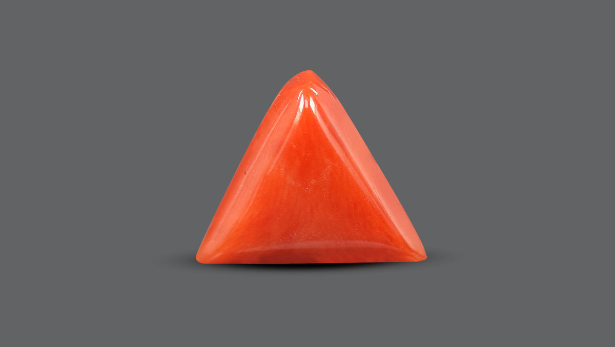 Italian Red Coral 5.67 Carats / 6.23 Ratti