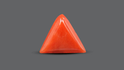 Italian Red Coral 5.67 Carats / 6.23 Ratti