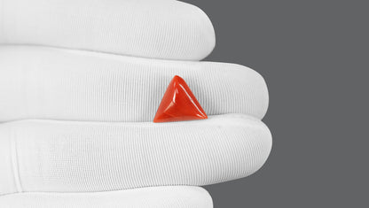 Italian Red Coral 5.67 Carats / 6.23 Ratti