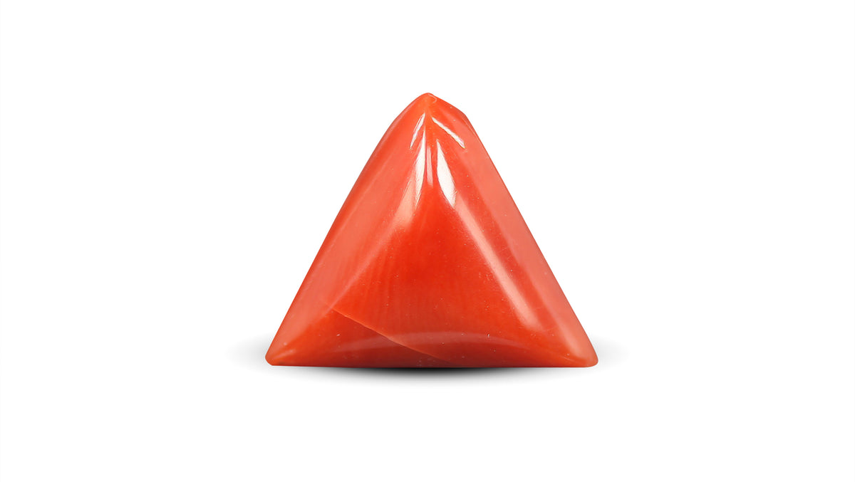 Italian Red Coral 5.67 Carats / 6.23 Ratti