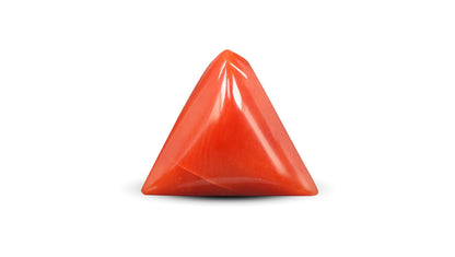 Italian Red Coral 5.67 Carats / 6.23 Ratti