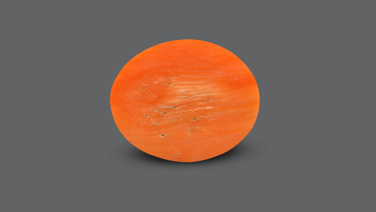 Japanese Red Coral 14.11 Carats / 15.51 Ratti