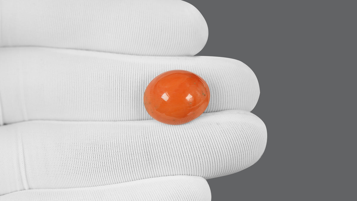 Japanese Red Coral 14.11 Carats / 15.51 Ratti