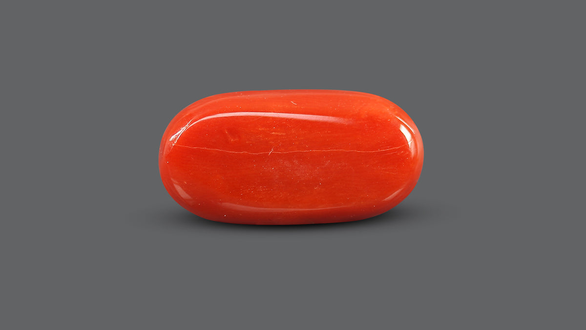 Italian Red Coral 15.82 Carats / 17.38 Ratti