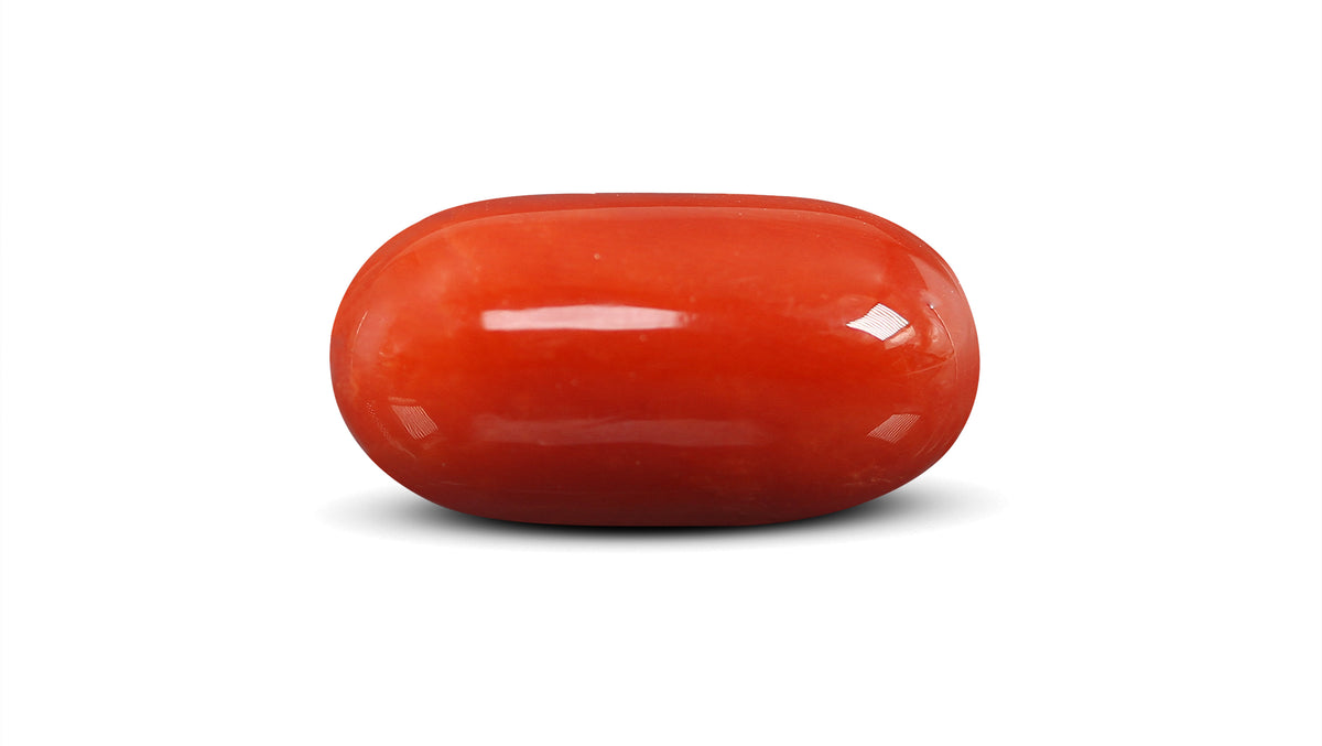 Italian Red Coral 15.82 Carats / 17.38 Ratti