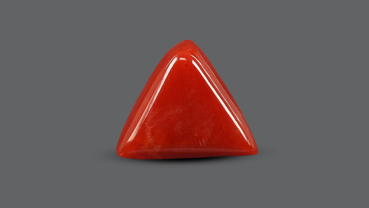 Italian Red Coral 5.68 Carats / 6.24 Ratti