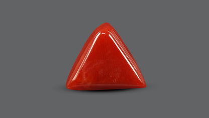 Italian Red Coral 5.68 Carats / 6.24 Ratti