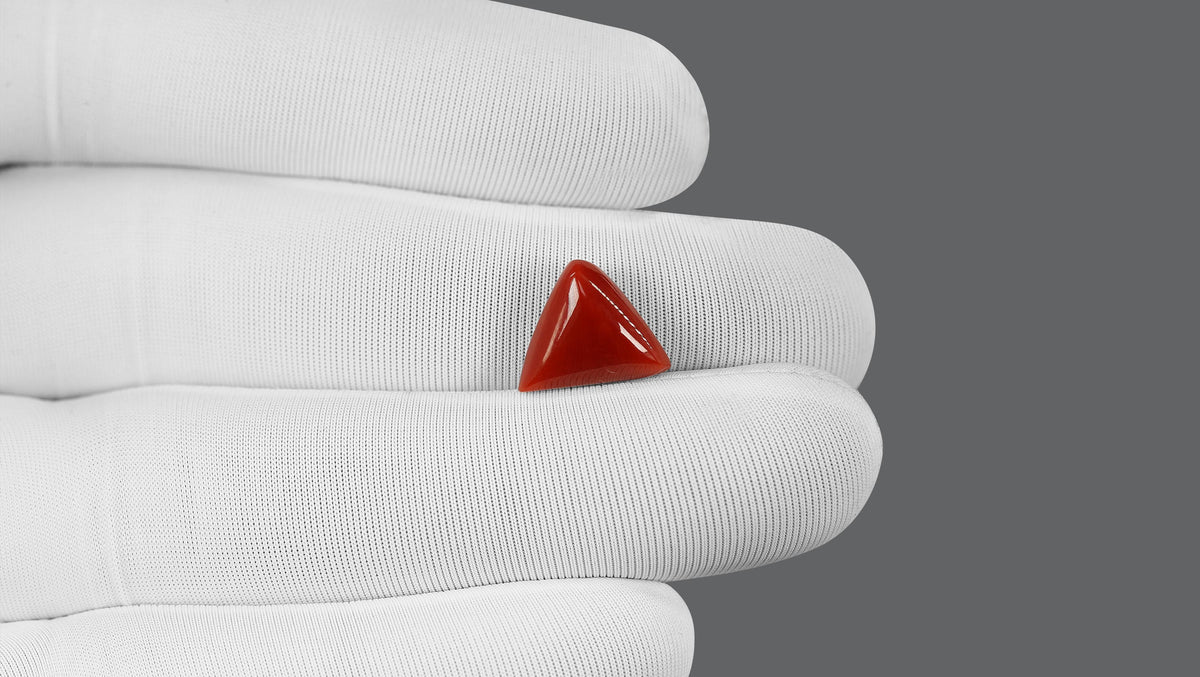Italian Red Coral 5.68 Carats / 6.24 Ratti